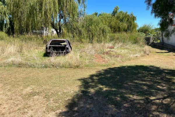 WhatsApp Image 2026-02-20 at 4.28.30 PM (2)