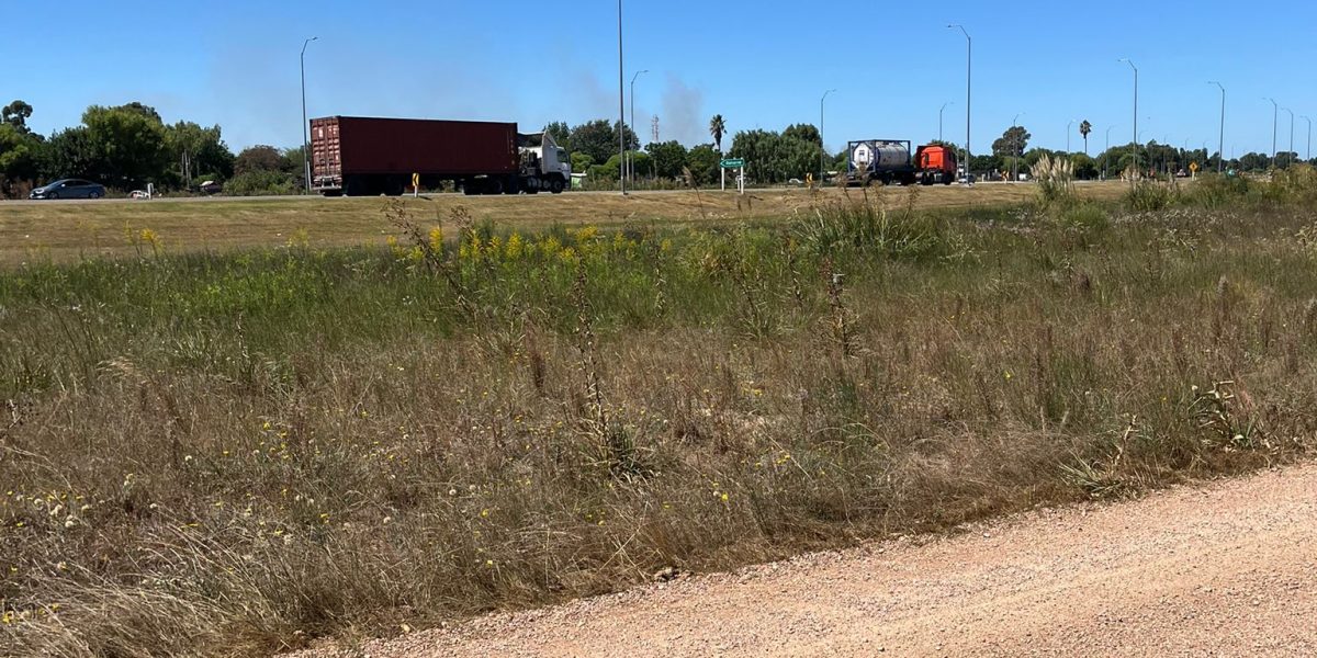 WhatsApp Image 2026-02-20 at 4.28.31 PM