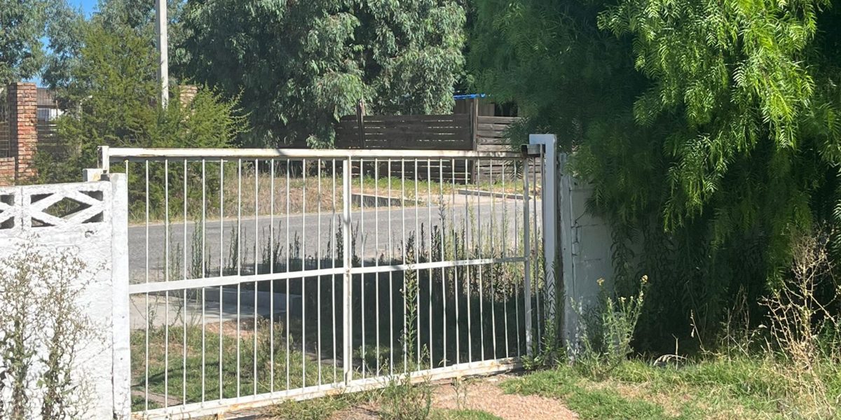 WhatsApp Image 2026-03-02 at 3.34.22 PM (2)