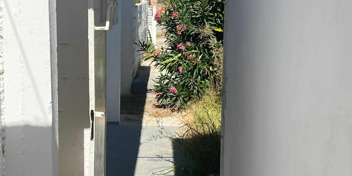 WhatsApp Image 2026-03-02 at 3.34.22 PM