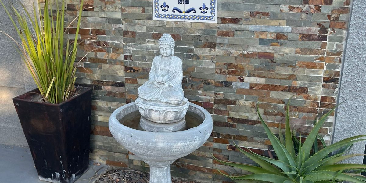 WhatsApp Image 2026-03-03 at 10.43.45 AM (9)