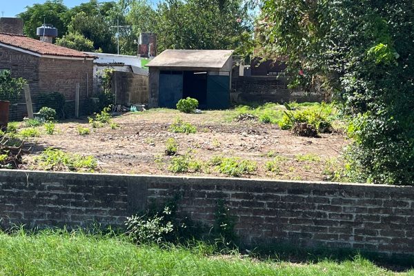 WhatsApp Image 2026-03-18 at 2.57.16 PM (1)