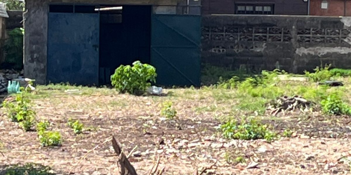 WhatsApp Image 2026-03-18 at 2.57.17 PM (7)