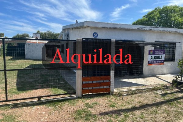 WhatsApp Image 2026-04-13 at 8.14.56 PM