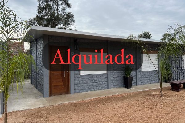 WhatsApp Image 2026-04-13 at 8.17.24 PM